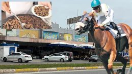 SON DAKİKA&hellip; CHP&rsquo;li belediyenin aşevindeki kavurmadan yarış atı Smart Latch &ccedil;ıkmıştı! At eti skandalında &ccedil;arpıcı gelişme&hellip;