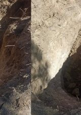 SON DAKİKA&hellip; Mezarlıkta Şoke Eden Manzara! Tek Tek &Ccedil;ukur Kazıp Altın Aramışlar