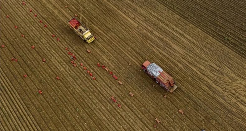 Tarım &Uuml;FE Martta Y&uuml;zde 3.85 Arttı