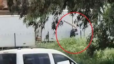 Tavuklarını yediği gerek&ccedil;esiyle sokak k&ouml;peğini sopayla d&ouml;ven kişi g&ouml;zaltında