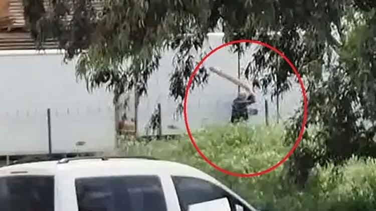 Tavuklarını yediği gerek&ccedil;esiyle sokak k&ouml;peğini sopayla d&ouml;ven kişi g&ouml;zaltında