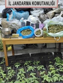 Tekirdağ'da Eve Kurduğu Sistem Pes Dedirtti! Kaçak Elektrikle Uyuşturucu Serası Kurmuş…