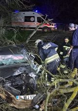 Tekirdağ'da otomobil ormanlık alana devrildi: 1 &ouml;l&uuml;, 3 yaralı