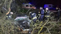 Tekirdağ'da otomobil ormanlık alana devrildi: 1 &ouml;l&uuml;, 3 yaralı