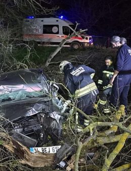 Tekirdağ'da otomobil ormanlık alana devrildi: 1 &ouml;l&uuml;, 3 yaralı