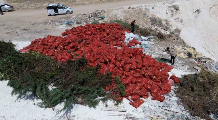 Ticaret Bakanlığı Araziye D&ouml;k&uuml;len Soğanlar İ&ccedil;in &Ccedil;alışma Başlattı