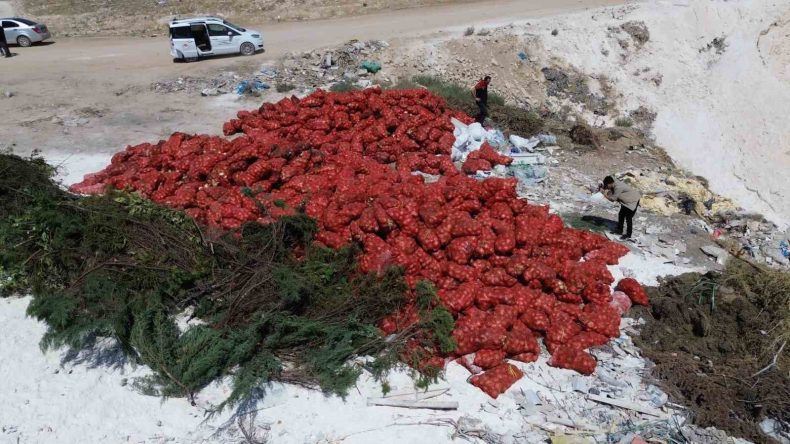 Ticaret Bakanlığı Araziye D&ouml;k&uuml;len Soğanlar İ&ccedil;in &Ccedil;alışma Başlattı