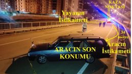 Tuana&rsquo;yı &ouml;l&uuml;me s&uuml;r&uuml;kleyen kazada şok detaylar! Tuana&rsquo;yı g&ouml;rd&uuml;ler fren yapmadan &ccedil;arptılar
