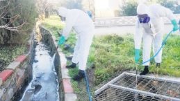 Turizmde Sivrisineğe Ge&ccedil;it Yok: 9 İlde Kapsamlı Temizlik