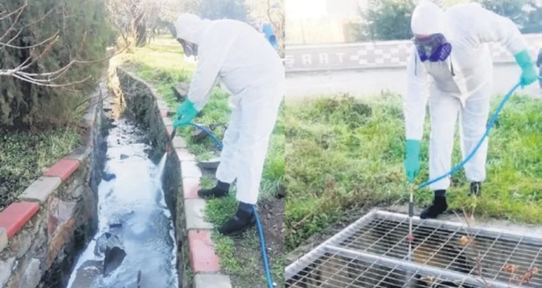 Turizmde Sivrisineğe Ge&ccedil;it Yok: 9 İlde Kapsamlı Temizlik