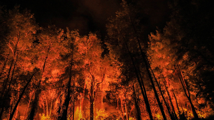 T&uuml;rkiye'de ge&ccedil;en yıl 3 bin 224 orman yangını &ccedil;ıktı