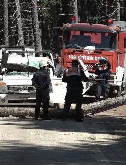 Uludağ'da Feci Olay: Seyir Halindeki Kamyonetin &Uuml;zerine Ağa&ccedil; Devrildi! 1 &Ouml;l&uuml;