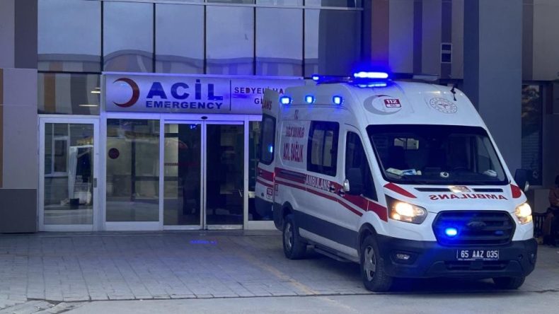 Van'da sokak k&ouml;peği dehşeti! 5 yaşındaki &ccedil;ocuk hayatını kaybetti