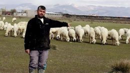 Yeme i&ccedil;me ve sigorta da işverene ait: Bu maaşla &ccedil;alışacak &ccedil;oban bulamıyorlar