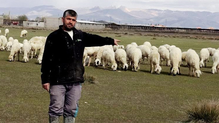Yeme i&ccedil;me ve sigorta da işverene ait: Bu maaşla &ccedil;alışacak &ccedil;oban bulamıyorlar