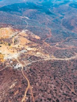 Yeşil şehir k&uuml;llerinden yeniden doğdu