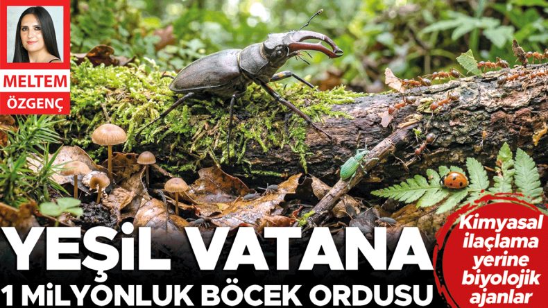 Yeşil vatana 1 milyonluk b&ouml;cek ordusu